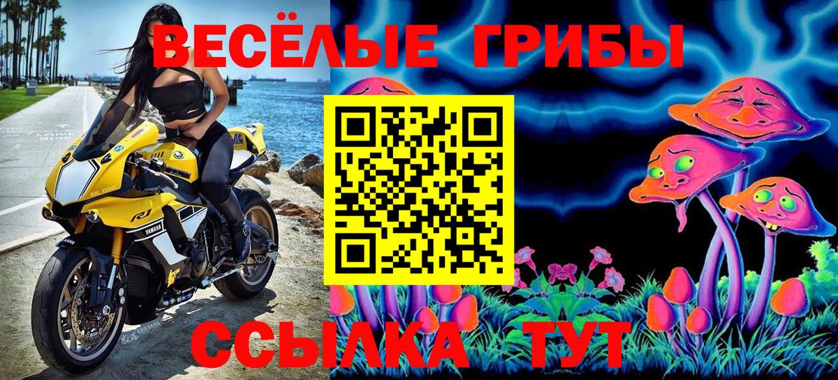 Галлюциногенные грибы Psilocybine cubensis  Вход с VPN  Алейск 